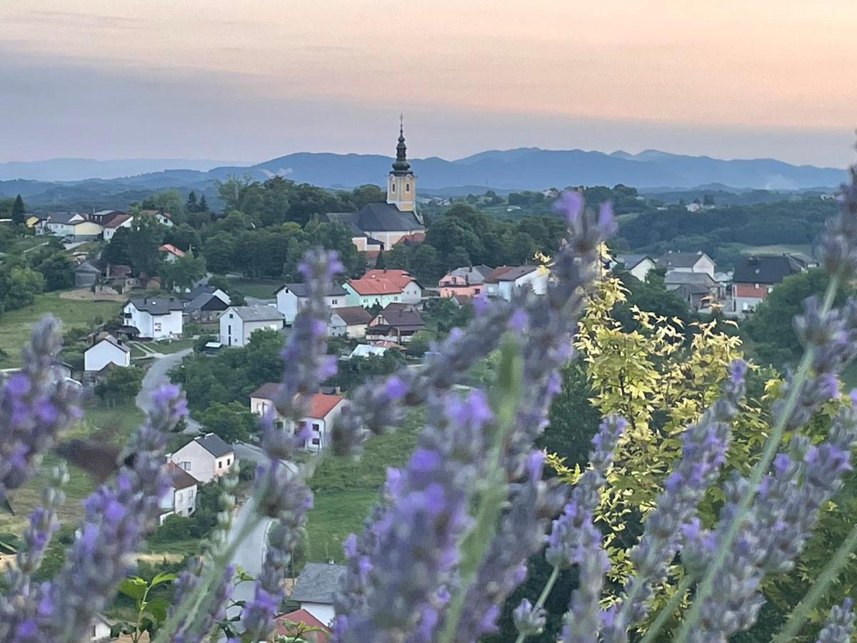 Kuca Za Odmor Hiza I Vila Krapina Zewnętrze zdjęcie